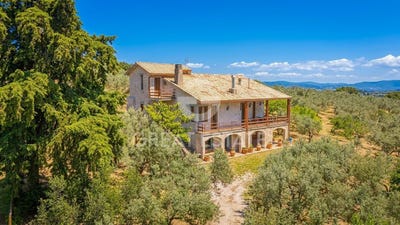 /international/it/trevi-umbria-310108316110/