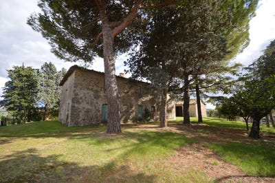 /international/it/san-venanzo-umbria-310099752143/