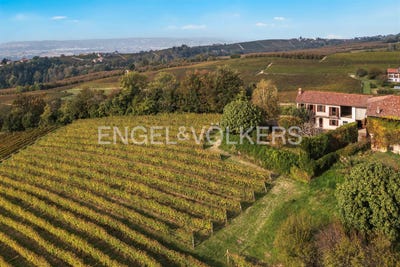 /international/it/la-morra-piedmont-310103468253/