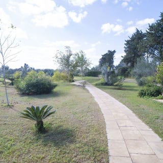 /international/it/monteroni-di-lecce-apulia-310108864957/