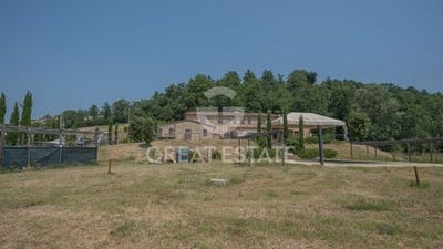 /international/it/monteleone-d-orvieto-umbria-310100890396/