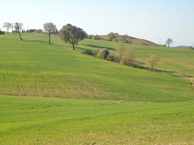 /international/it/grosseto-tuscany-310108322051/