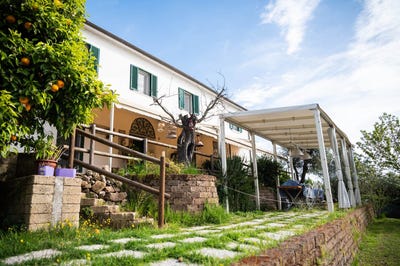 /international/it/livorno-tuscany-310110032287/