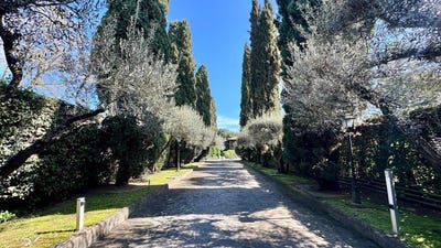 /international/it/rome-lazio-310101209121/?lang=zh-tw