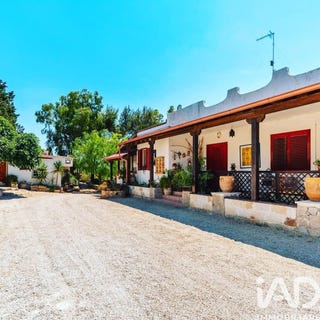 /international/it/nardo-apulia-310105749141/