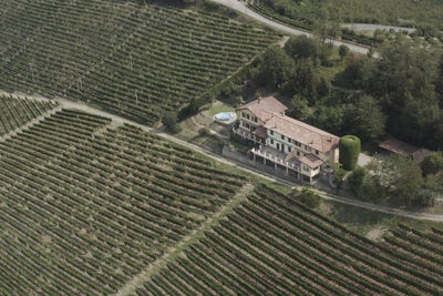 /international/it/mango-calabria-120081632172/