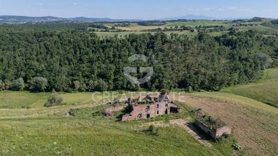 /international/it/asciano-tuscany-310108972680/