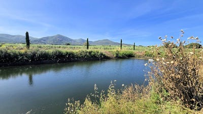/international/it/scarlino-scalo-tuscany-310108944250/