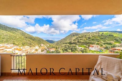 /international/it/torpe-sardinia-310108317000/