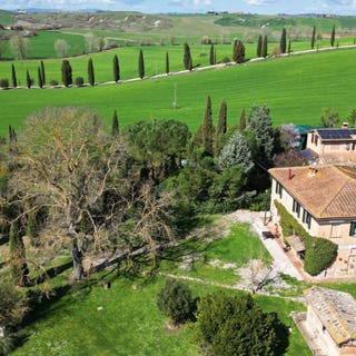 /international/it/asciano-tuscany-310107980131/