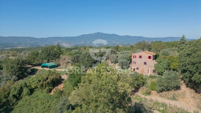 /international/it/citta-della-pieve-umbria-310105170356/