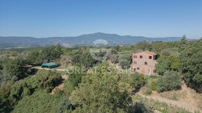 /international/it/citta-della-pieve-umbria-310102412804/