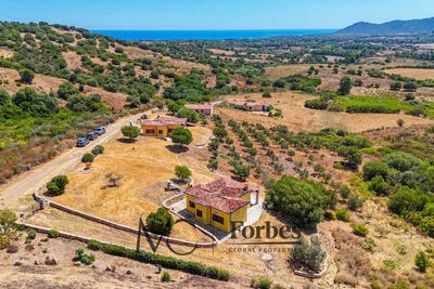 /international/it/siniscola-sardinia-310108317694/?lang=pt