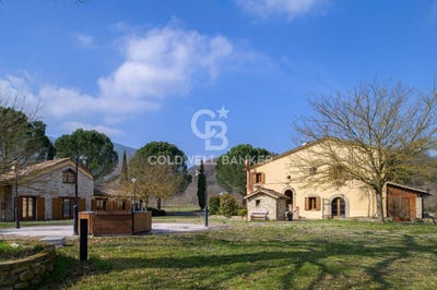 /international/it/fermignano-marche-310106711565/