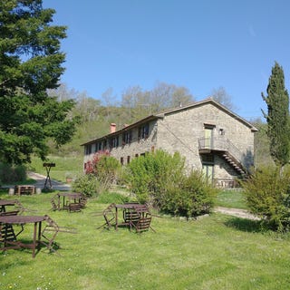 /international/it/pian-di-sco-tuscany-310108406964/