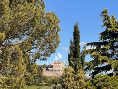 /international/it/sarteano-tuscany-310108593235/