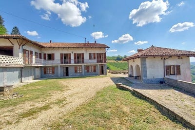 /international/it/mango-calabria-310109858161/