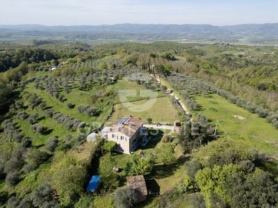 /international/it/citta-della-pieve-umbria-310100405430/