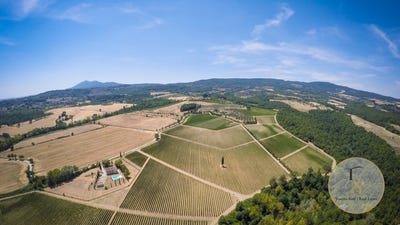 /international/it/sarteano-tuscany-310110358287/