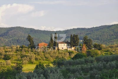 /international/it/cavriglia-tuscany-120092983202/