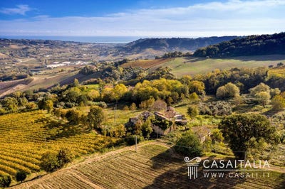 /international/it/ripatransone-marche-310104079203/