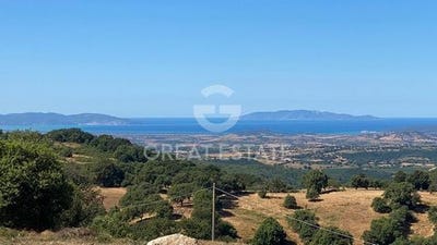 /international/it/scansano-tuscany-310101901703/
