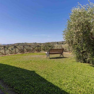 /international/it/scansano-tuscany-310108838748/?lang=it