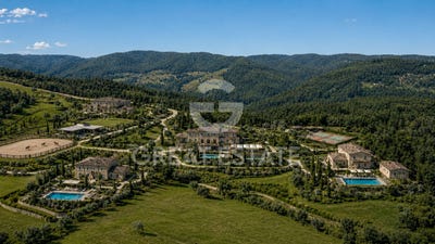 /international/it/cannara-umbria-310108929518/