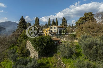 /international/it/vaiano-tuscany-310106283715/