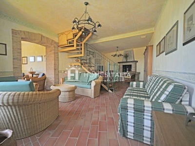 /international/it/civitella-d-agliano-lazio-310108429748/
