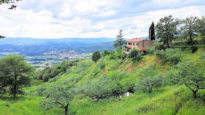 /international/it/castiglion-fibocchi-tuscany-310107186045/