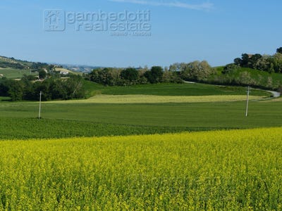 /international/it/sant-ippolito-marche-310103019341/