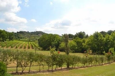 /international/it/montecarlo-tuscany-310100714170/