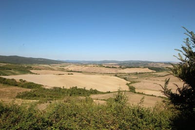 /international/it/montalcino-tuscany-310102293243/