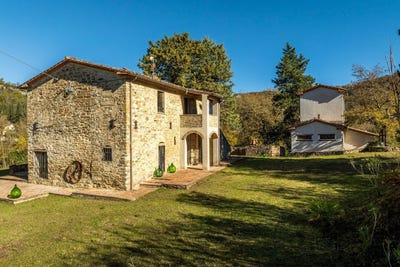 /international/it/montone-umbria-310110288378/