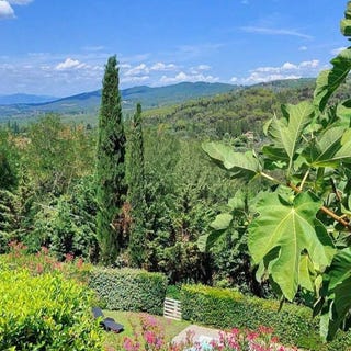 /international/it/panzano-tuscany-310120564896/