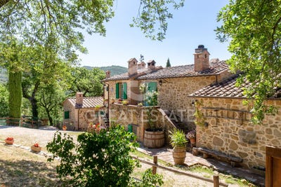 /international/it/citta-della-pieve-umbria-310109330419/