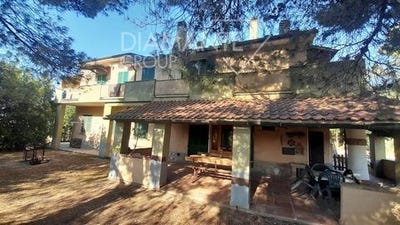 /international/it/cinigiano-tuscany-310101863007/