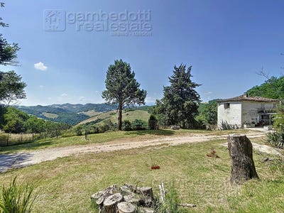 /international/it/urbino-marche-310106234585/