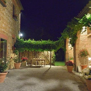 /international/it/monteroni-d-arbia-tuscany-310119982456/