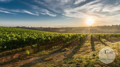 /international/it/montalcino-tuscany-310109130303/