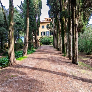 /international/it/casciana-alta-tuscany-310107362325/