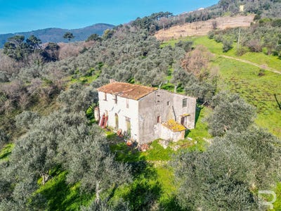 /international/it/vicopisano-tuscany-310104945884/