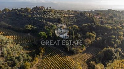 /international/it/montepulciano-tuscany-310103642507/