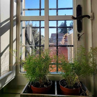/international/it/florence-tuscany-310108406963/