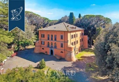 /international/it/vetralla-lazio-310107473517/