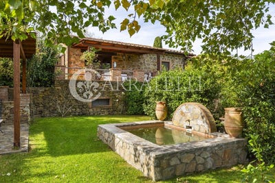 /international/it/scansano-tuscany-310108184989/