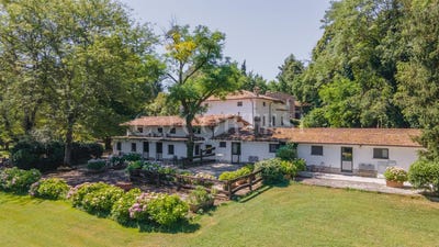 /international/it/montone-umbria-310107774956/
