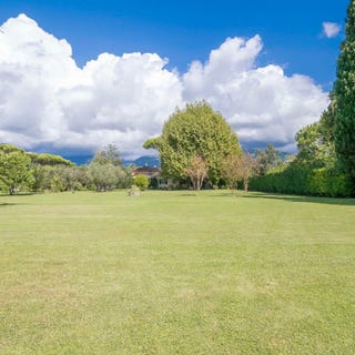 /international/it/forte-dei-marmi-tuscany-310107296034/