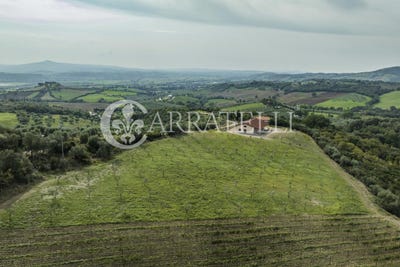 /international/it/campagnatico-tuscany-310105812876/